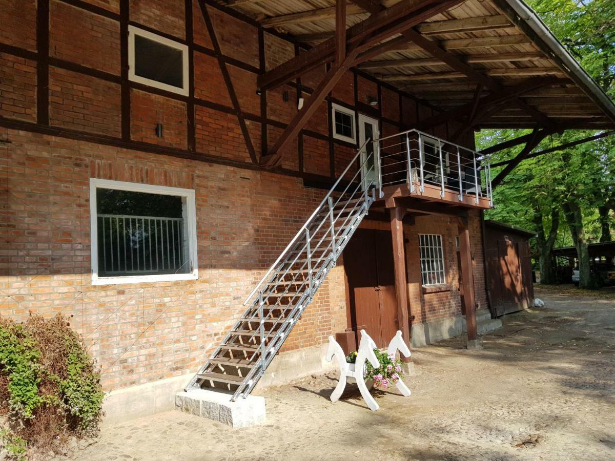 Große, helle Ferienwohnung mit 2 Balkonen auf dem Bauernhof in der Lüneburger Heide Oetzen Exterior foto